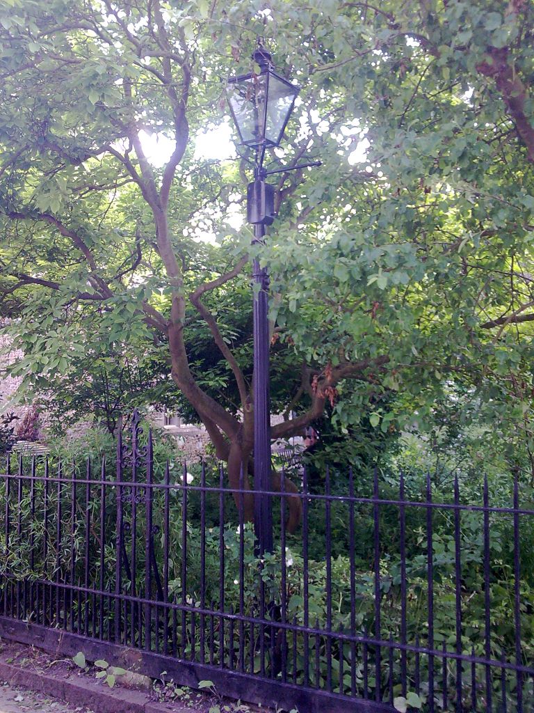 Little St Mary's Lane (1)