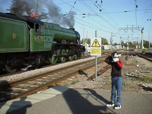 Lucy and Flying Scotsman await the departure